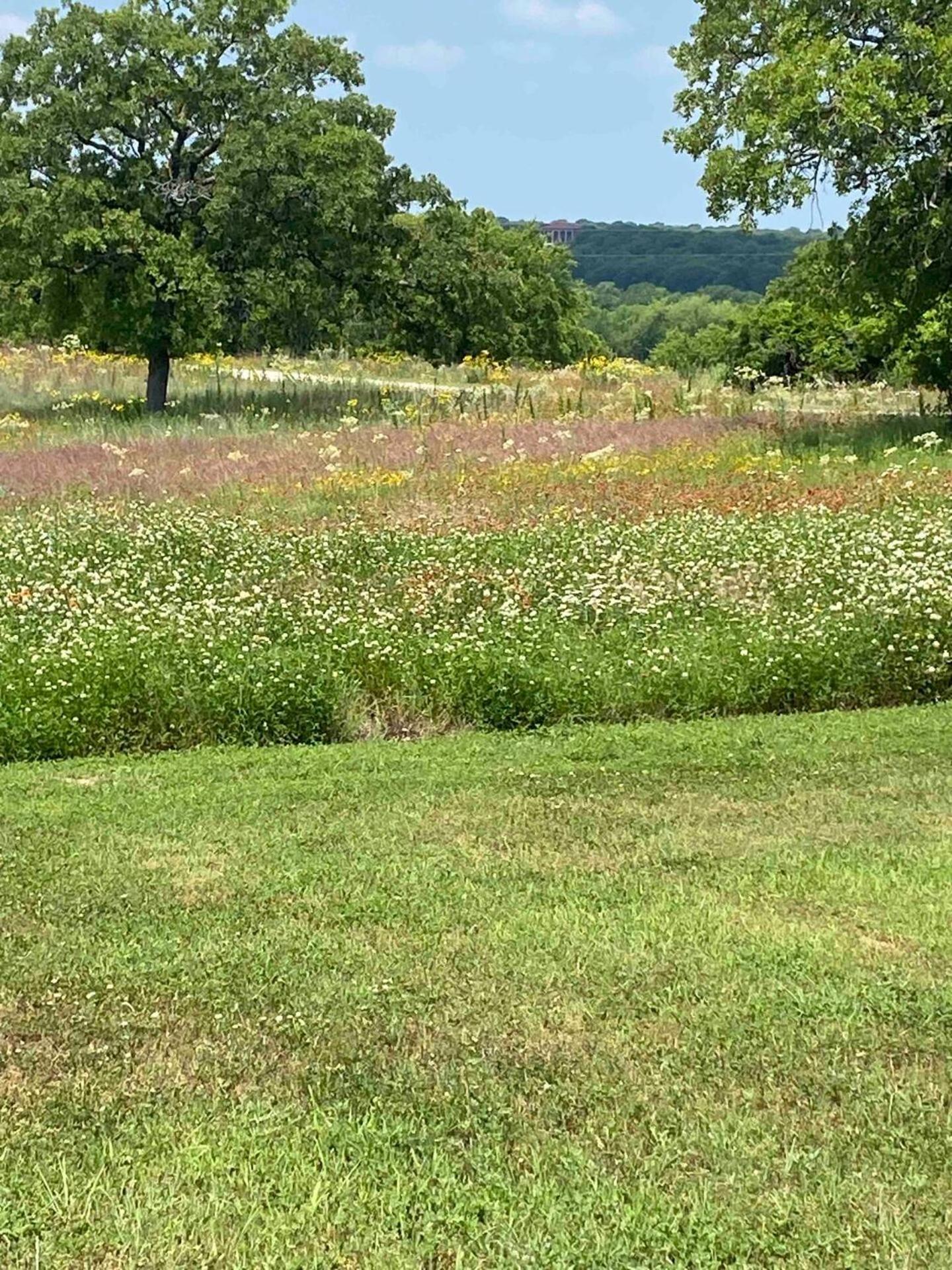 Nature Retreateclectic Country Boho Farmhouse Nocona Bagian luar foto