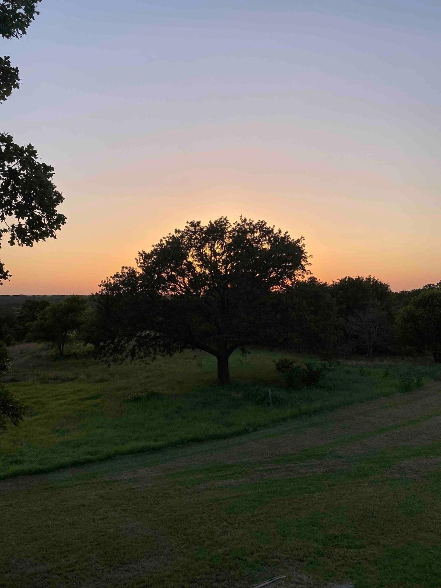 Nature Retreateclectic Country Boho Farmhouse Nocona Bagian luar foto