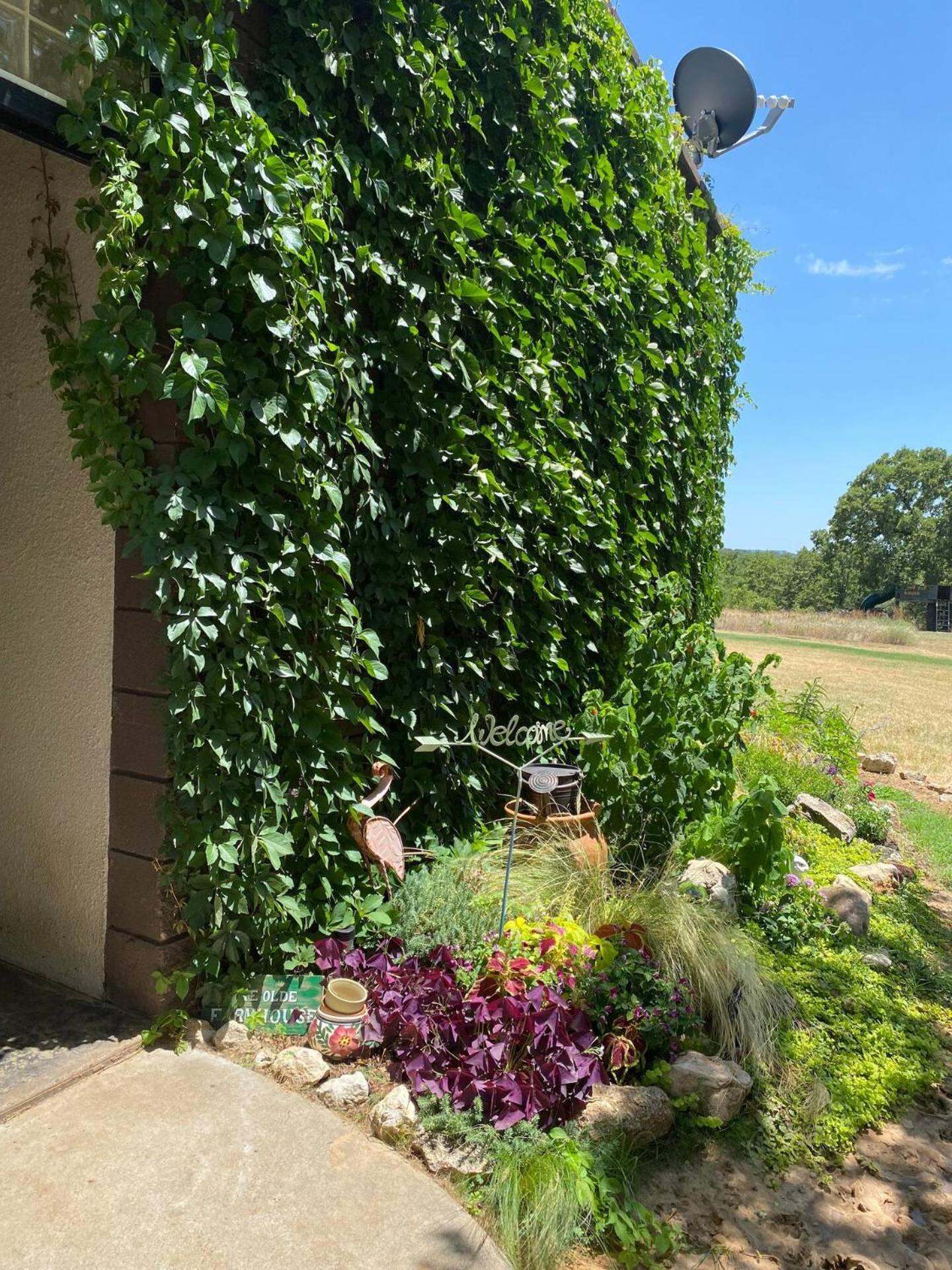 Nature Retreateclectic Country Boho Farmhouse Nocona Bagian luar foto
